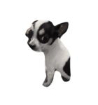Jimmy is a dog（個別スタンプ：3）