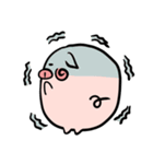 BO-PigPig（個別スタンプ：16）