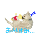 こてつとサスケ 日常（個別スタンプ：6）