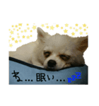 こてつとサスケ 日常（個別スタンプ：7）
