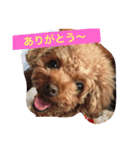 我が家の宝石たち（個別スタンプ：1）