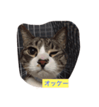 我が家の宝石たち（個別スタンプ：6）