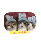 我が家の宝石たち（個別スタンプ：9）
