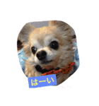 我が家の宝石たち（個別スタンプ：10）