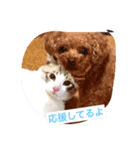 我が家の宝石たち（個別スタンプ：15）