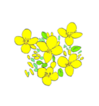 talking colorful flower（個別スタンプ：2）