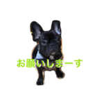 伸くんと繭ちゃん2（個別スタンプ：7）