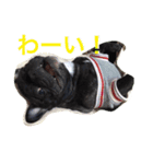 伸くんと繭ちゃん2（個別スタンプ：8）