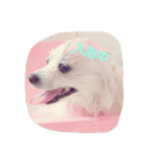 ぽめぽめふらん（個別スタンプ：12）