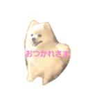 ぽめぽめふらん（個別スタンプ：15）