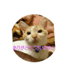 every every（個別スタンプ：3）