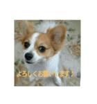 every every（個別スタンプ：4）