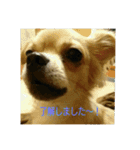 every every（個別スタンプ：5）