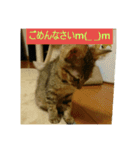every every（個別スタンプ：8）