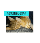 every every（個別スタンプ：9）