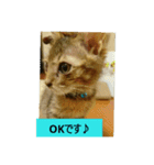 every every（個別スタンプ：14）