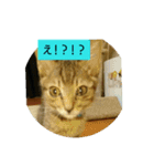every every（個別スタンプ：16）