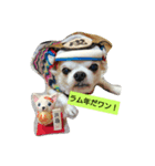 戌年！（個別スタンプ：2）