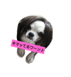 戌年！（個別スタンプ：5）