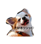 戌年！（個別スタンプ：8）