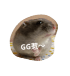 super super cute hamster（個別スタンプ：6）