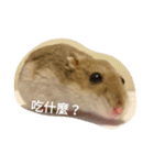 super super cute hamster（個別スタンプ：8）