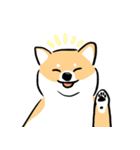 cute Shiba Inu daily（個別スタンプ：1）