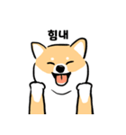 cute Shiba Inu daily（個別スタンプ：3）