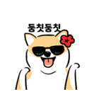 cute Shiba Inu daily（個別スタンプ：4）