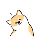 cute Shiba Inu daily（個別スタンプ：7）