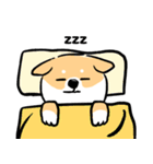 cute Shiba Inu daily（個別スタンプ：8）