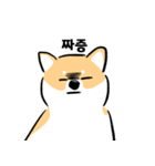 cute Shiba Inu daily（個別スタンプ：12）