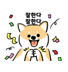 cute Shiba Inu daily（個別スタンプ：15）