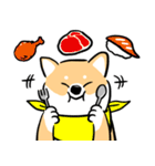 cute Shiba Inu daily（個別スタンプ：17）