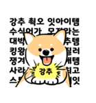 cute Shiba Inu daily（個別スタンプ：22）