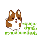 犬 : 感謝の毎日 タイ語（個別スタンプ：17）