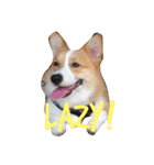 bibidog2（個別スタンプ：6）