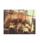 脱力系男子レオくん（個別スタンプ：7）