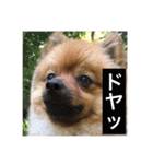 脱力系男子レオくん（個別スタンプ：9）