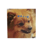 脱力系男子レオくん（個別スタンプ：13）
