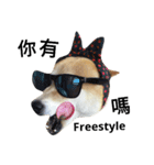 My name is Shiba PartII（個別スタンプ：5）
