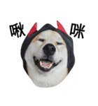 My name is Shiba PartII（個別スタンプ：10）