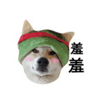 My name is Shiba PartII（個別スタンプ：15）