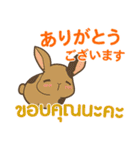 ウサギ : 感謝の毎日 日本語タイ語（個別スタンプ：1）