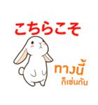 ウサギ : 感謝の毎日 日本語タイ語（個別スタンプ：5）