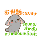 ウサギ : 感謝の毎日 日本語タイ語（個別スタンプ：17）