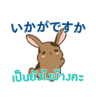 ウサギ : 感謝の毎日 日本語タイ語（個別スタンプ：19）