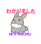 ウサギ : 感謝の毎日 日本語タイ語（個別スタンプ：21）