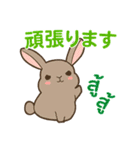 ウサギ : 感謝の毎日 日本語タイ語（個別スタンプ：24）
