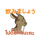 ウサギ : 感謝の毎日 日本語タイ語（個別スタンプ：37）